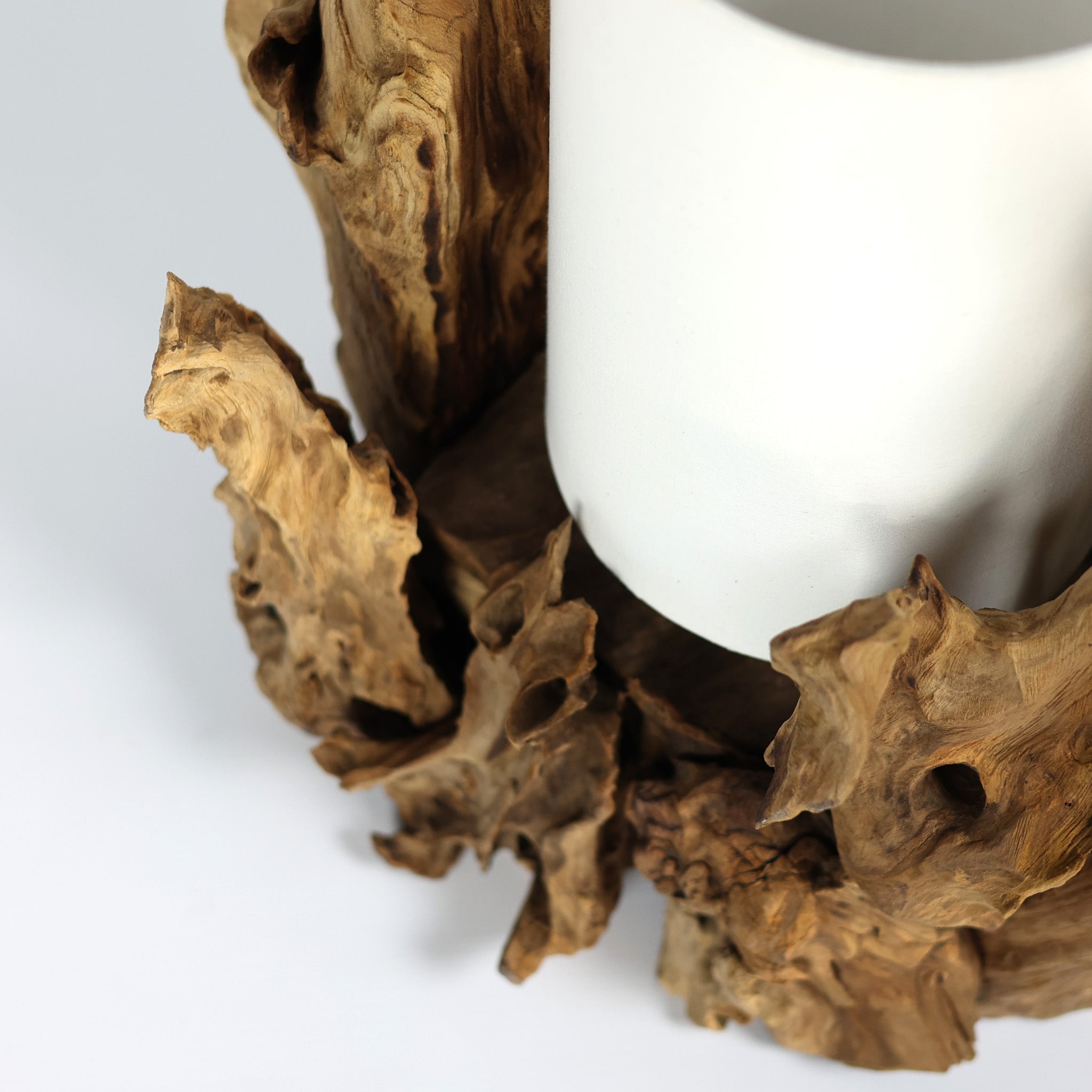 BION teak root table lamp, root detail