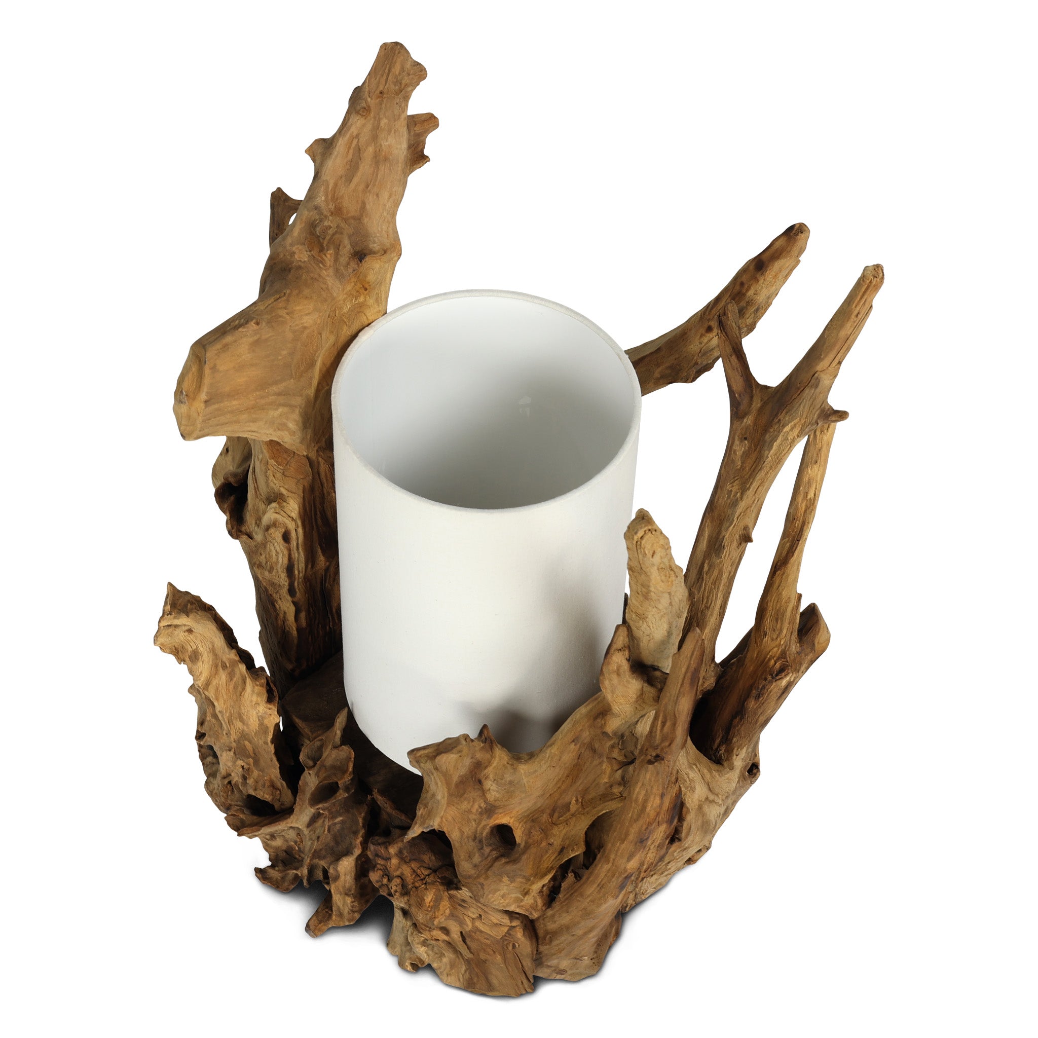 BION teak root table lamp, rear view